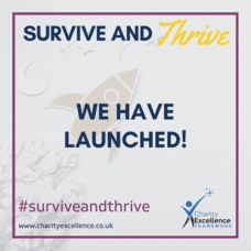 Major Funding Finder Upgrade Now Live  &amp; Far More Crisis Funders