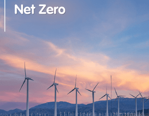 This month is all about Net Zero!