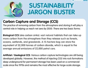 Sustainability Jargo Buster