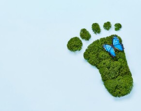 Carbon Neutrality For Churches