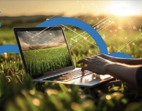 With SCG Consulting, the grass can be greener!