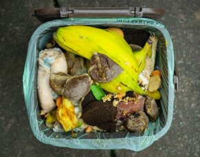 Today is Stop Food Waste Day!