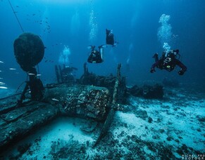Dive into Paradise: Exploring the Adriatic&#039;s Hidden Depths