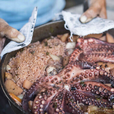 Octopus