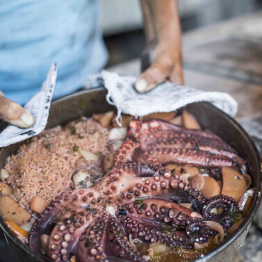 Octopus