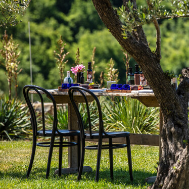 Olive oil tasting