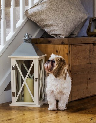 Interior Design Tyne & Wear