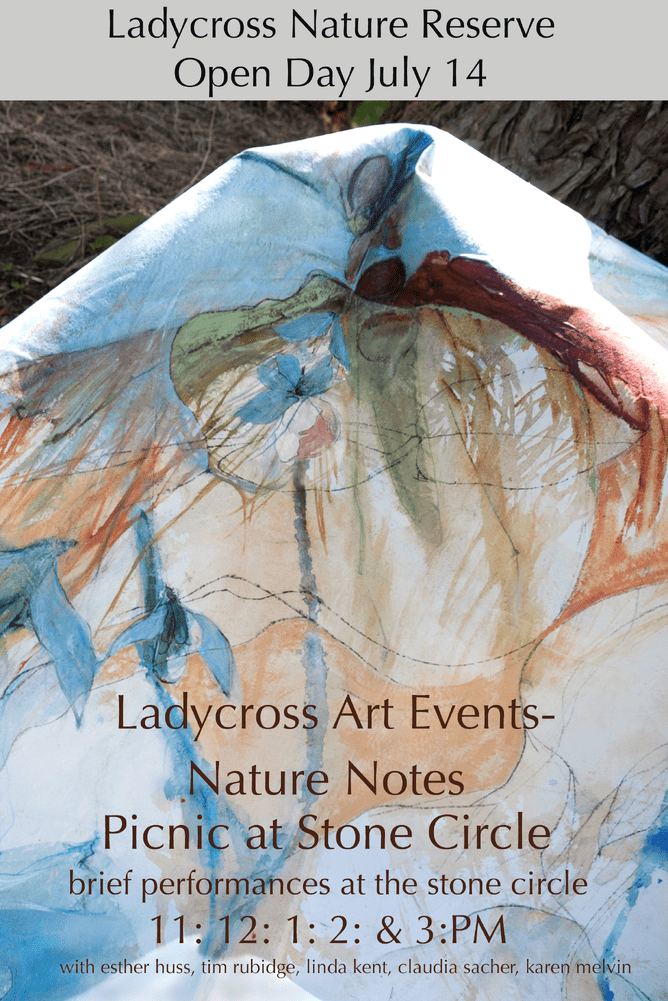 Ladycross nature reserve open day