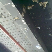 Asbestos containing bitumen adhesive to a ceiling