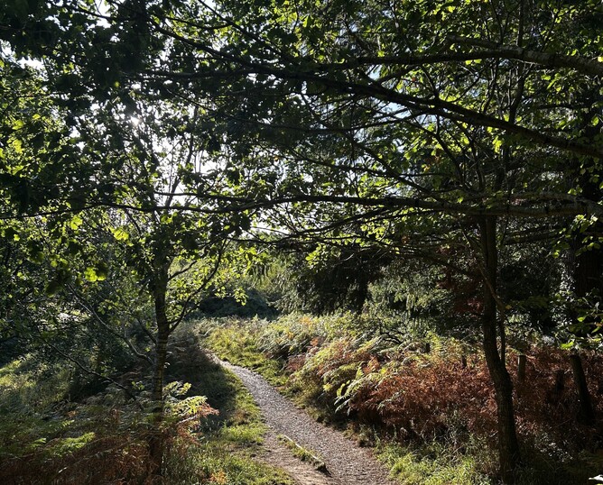 River Derwent, Shotley Bridge, Co Durham