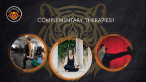 Complementary Therapies.