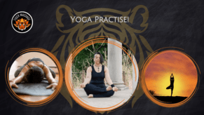 5 Good Reasons to choose a mindful, steady yoga practise, over a dynamic fast paced practice.