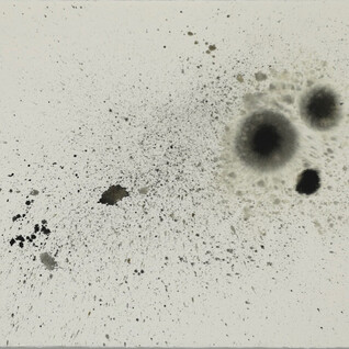 Alessandra Galtrucco