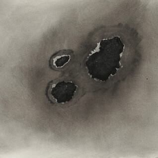 Alessandra Galtrucco