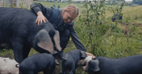 The Pig Farmer - a short film by Chris Baker