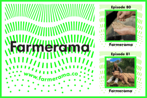 Talking Soy Free on Farmarama Radio