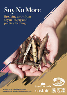 Soy No More report cover two tone navy & gold with photo of hand holding pulses and logos of organisations involved