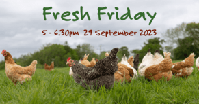 Fresh Friday - 29 September 2023