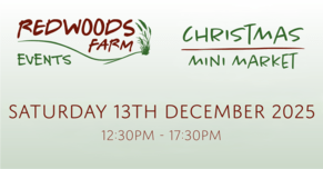 CANCELLED - Christmas Mini Market