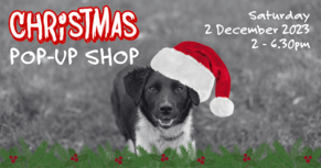 Christmas Pop-up Shop 2023