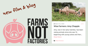 Farms Not Factories - soy free pastured pigs