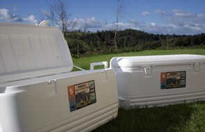 our Igloo meat delivery cool boxes sitting on grassland in the sunshine