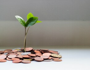 What is the most tax efficient wage for a Director for 2021/2022?