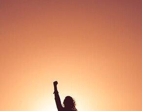 What is the Construction Industry Domestic VAT reverse charge?