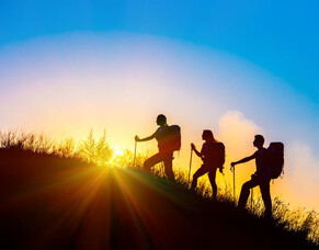 The Force Accounting journey