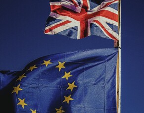 What are the new rules after we leave the EU?