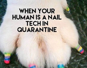 How are you adapting to the #covid19 lockdown?