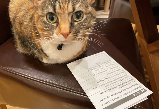 Somebody's inviting me to a poll?