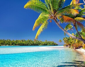 Discover The Cook Islands