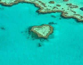 Escape to Queensland: Your Tropical Retreat