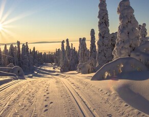 Top 10 things to do in Lapland