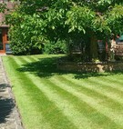 Walnut Barn - courtyard garden