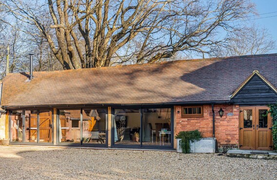 Walnut Studio