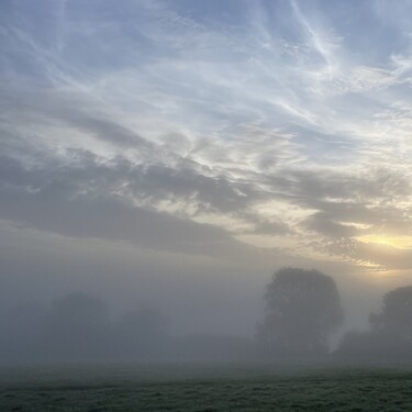 A foggy Autumnal morning at Hackhurst Farm